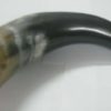 jic6 (1)