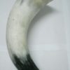jic6 (2)